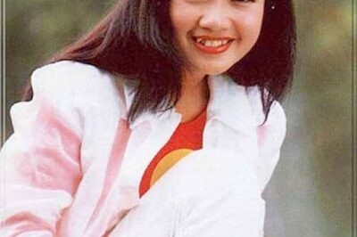 Cả nước bất ngờ với bản di chúc của diva Hồng Nhung âm thầm chuẩn bị cho việc ra đi! Người thừa kế không ai khác chính là…