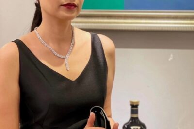Hồng Ánh t/ái xuất điện ảnh ở một bộ phim mới này