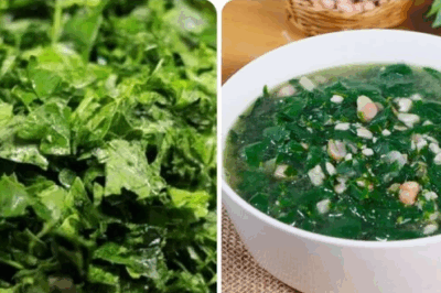 Rau ngót rất ngon và bổ, nhưng đây là những người có thèm đến mấy cũng không nên ăn rau ngót